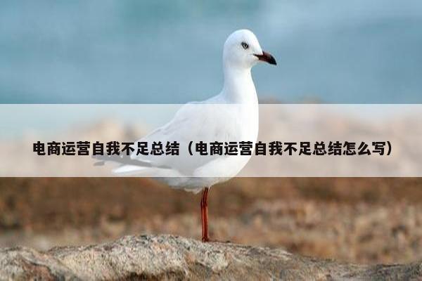 电商运营自我不足总结（电商运营自我不足总结怎么写）