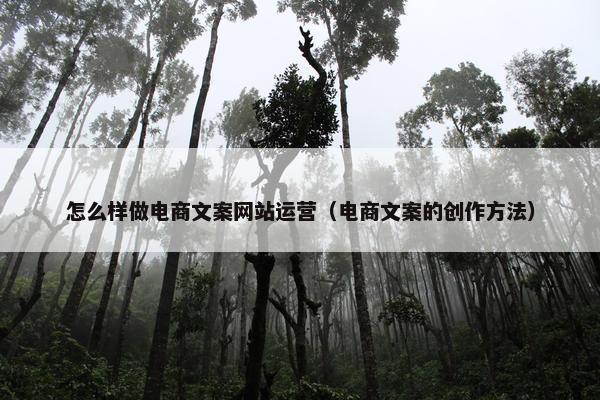 怎么样做电商文案网站运营（电商文案的创作方法）