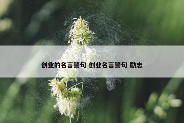 创业的名言警句 创业名言警句 励志