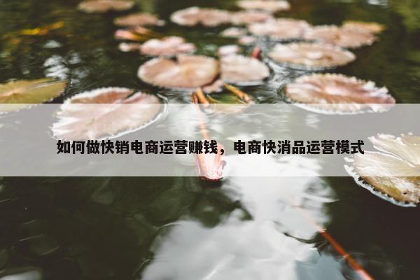 如何做快销电商运营赚钱，电商快消品运营模式