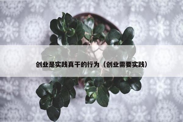 创业是实践真干的行为（创业需要实践）