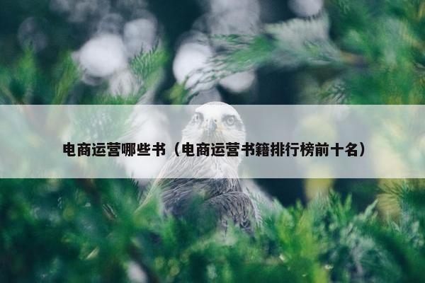 电商运营哪些书（电商运营书籍排行榜前十名）