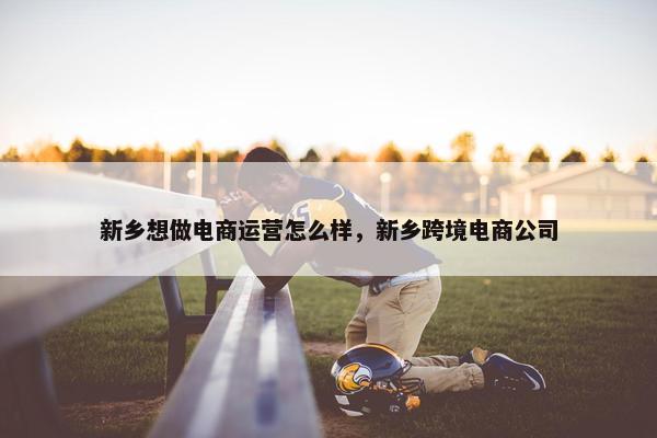 新乡想做电商运营怎么样，新乡跨境电商公司