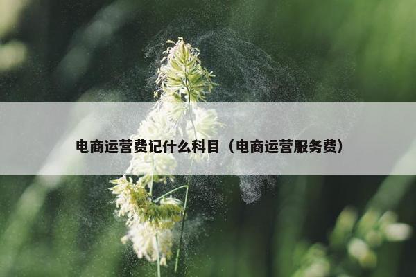 电商运营费记什么科目（电商运营服务费）