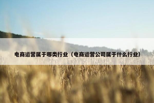 电商运营属于哪类行业（电商运营公司属于什么行业）