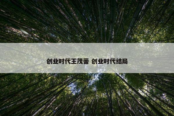 创业时代王茂蕾 创业时代结局