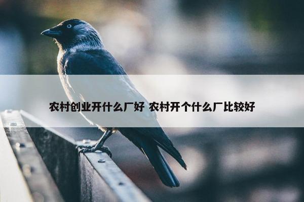 农村创业开什么厂好 农村开个什么厂比较好