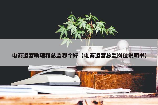 电商运营助理和总监哪个好（电商运营总监岗位说明书）