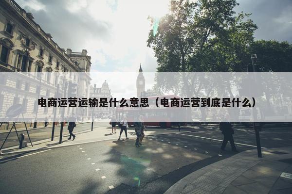 电商运营运输是什么意思（电商运营到底是什么）