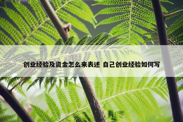 创业经验及资金怎么来表述 自己创业经验如何写