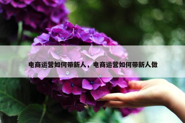 电商运营如何带新人，电商运营如何带新人做