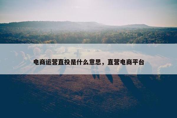 电商运营直投是什么意思，直营电商平台