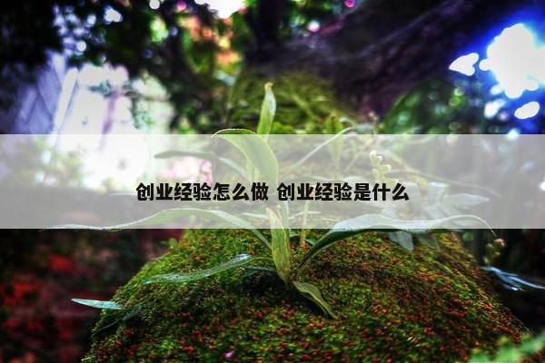 创业经验怎么做 创业经验是什么