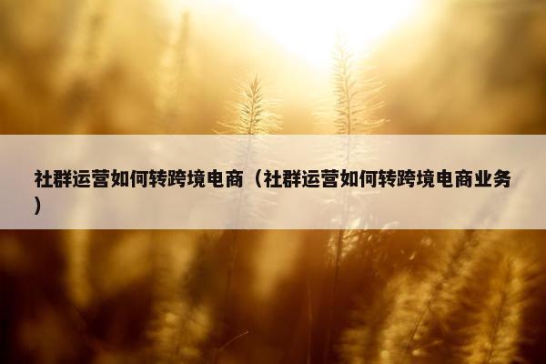 社群运营如何转跨境电商（社群运营如何转跨境电商业务）