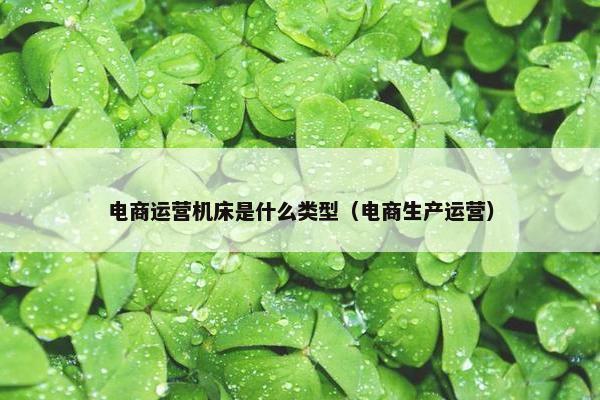 电商运营机床是什么类型（电商生产运营）