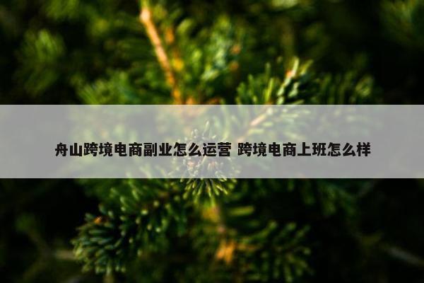 舟山跨境电商副业怎么运营 跨境电商上班怎么样