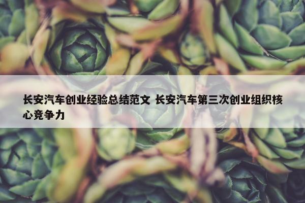 长安汽车创业经验总结范文 长安汽车第三次创业组织核心竞争力