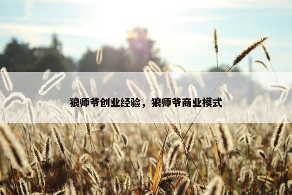 狼师爷创业经验，狼师爷商业模式