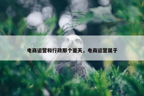 电商运营和行政那个夏天，电商运营属于