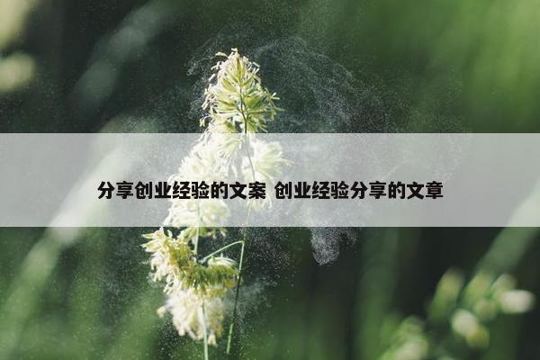 分享创业经验的文案 创业经验分享的文章