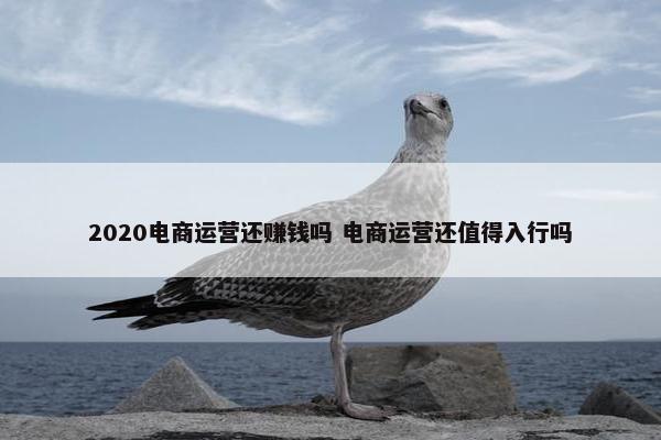 2020电商运营还赚钱吗 电商运营还值得入行吗