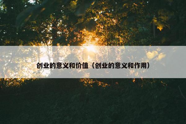 创业的意义和价值（创业的意义和作用）