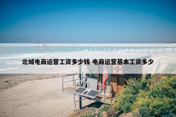 北城电商运营工资多少钱 电商运营基本工资多少