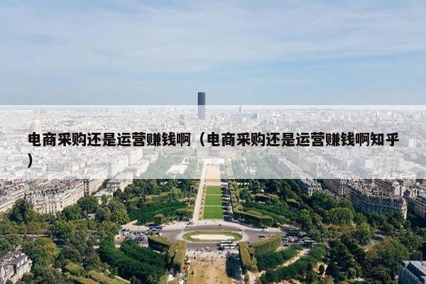 电商采购还是运营赚钱啊（电商采购还是运营赚钱啊知乎）