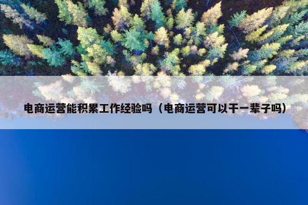 电商运营能积累工作经验吗（电商运营可以干一辈子吗）