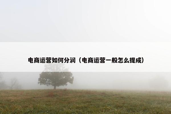 电商运营如何分润（电商运营一般怎么提成）