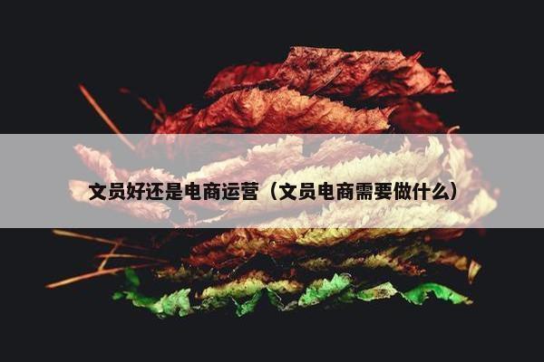 文员好还是电商运营（文员电商需要做什么）