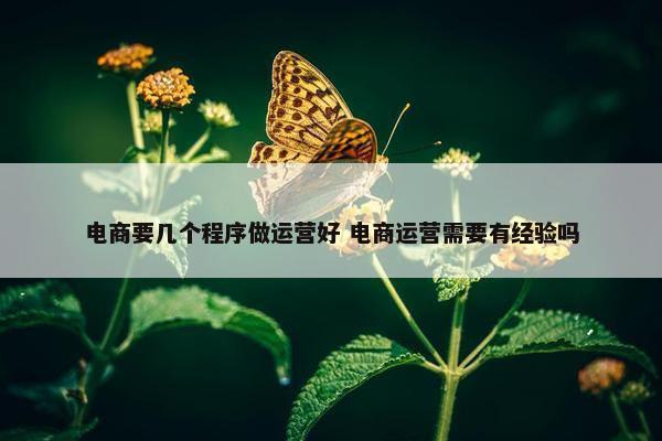 电商要几个程序做运营好 电商运营需要有经验吗