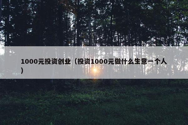 1000元投资创业（投资1000元做什么生意一个人）