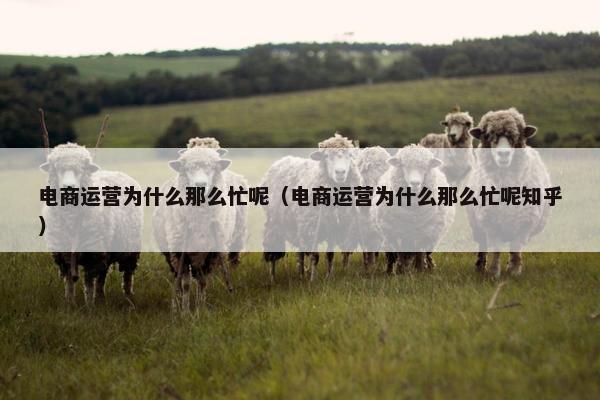 电商运营为什么那么忙呢（电商运营为什么那么忙呢知乎）