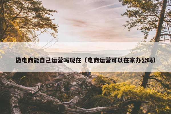 做电商能自己运营吗现在（电商运营可以在家办公吗）