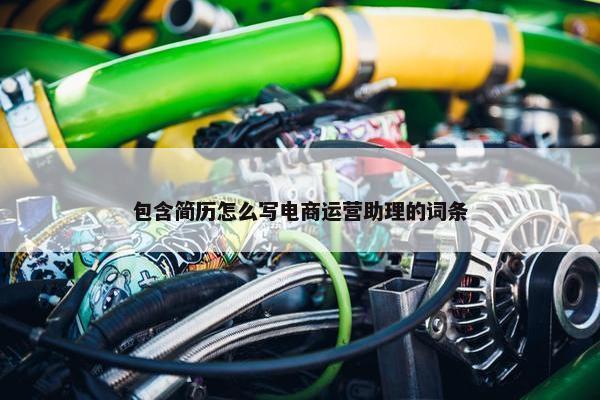 包含简历怎么写电商运营助理的词条