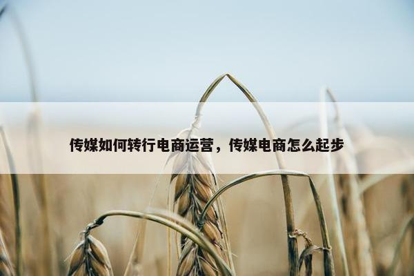 传媒如何转行电商运营，传媒电商怎么起步