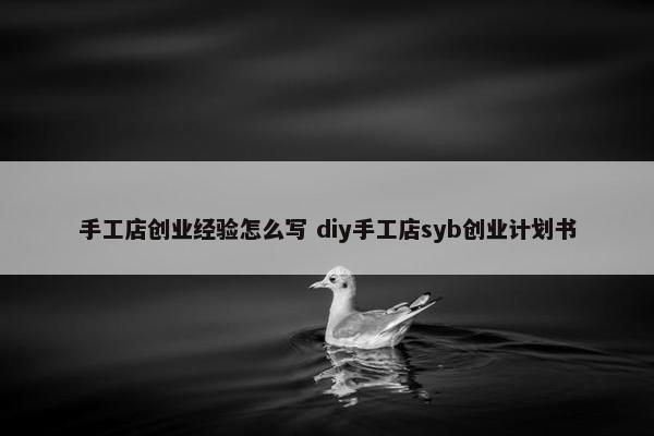 手工店创业经验怎么写 diy手工店syb创业计划书