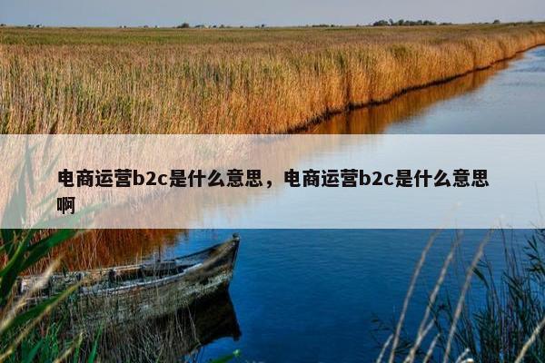 电商运营b2c是什么意思，电商运营b2c是什么意思啊