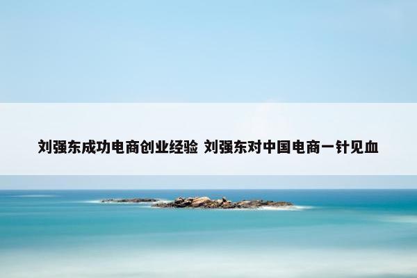 刘强东成功电商创业经验 刘强东对中国电商一针见血