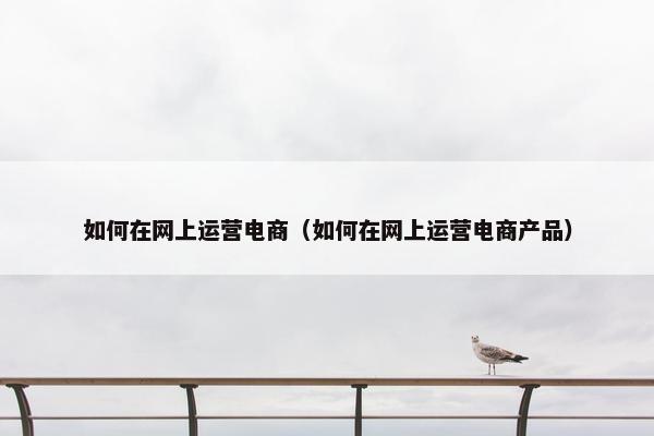 如何在网上运营电商（如何在网上运营电商产品）