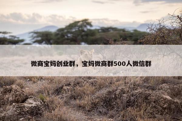 微商宝妈创业群，宝妈微商群500人微信群