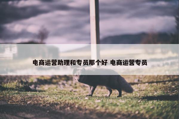 电商运营助理和专员那个好 电商运营专员