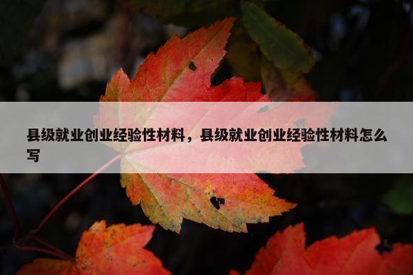 县级就业创业经验性材料，县级就业创业经验性材料怎么写