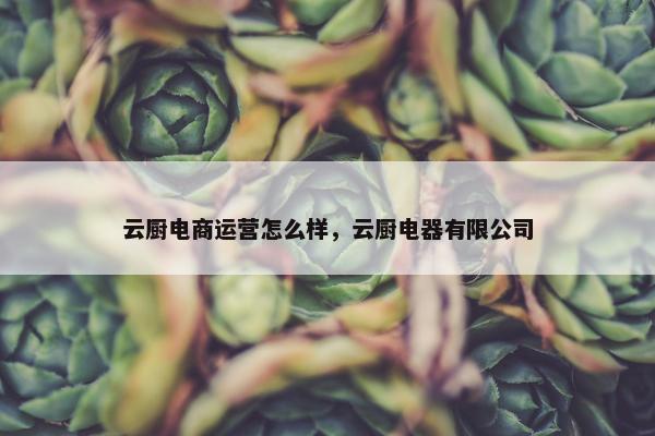 云厨电商运营怎么样，云厨电器有限公司