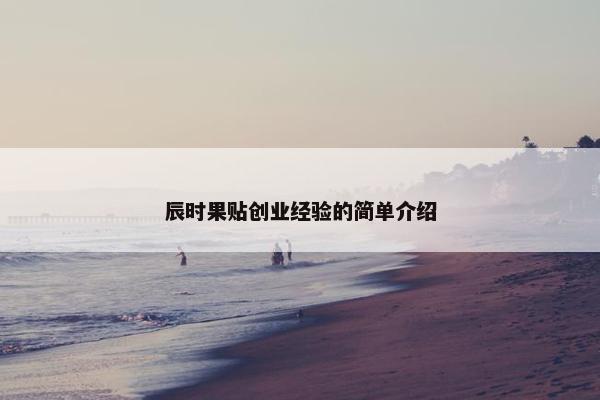 辰时果贴创业经验的简单介绍