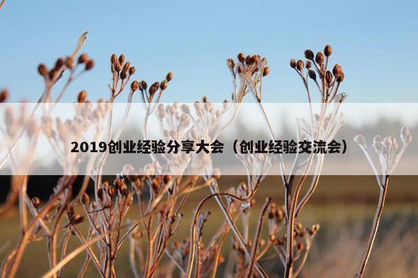 2019创业经验分享大会（创业经验交流会）