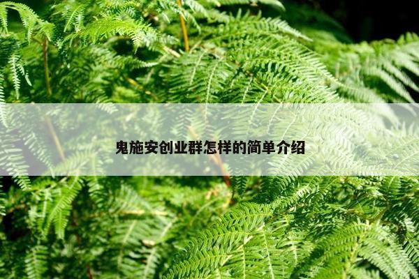 鬼施安创业群怎样的简单介绍