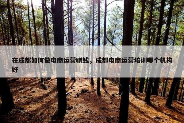 在成都如何做电商运营赚钱，成都电商运营培训哪个机构好