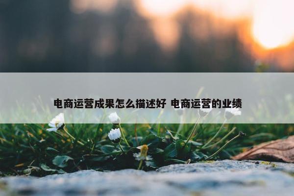 电商运营成果怎么描述好 电商运营的业绩